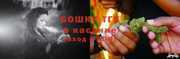 spice Богородск