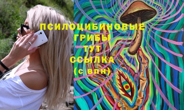 spice Богородск