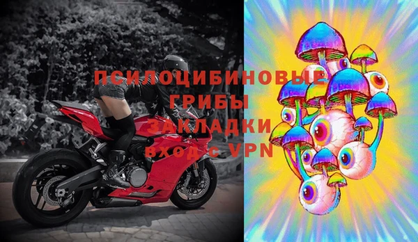 индика Бугульма