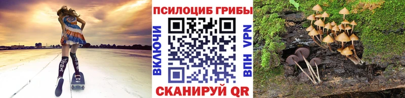 наркошоп  Навашино  Псилоцибиновые грибы мицелий 